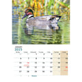 Logo Desk Calendar-2025