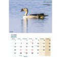 Logo Desk Calendar-2025